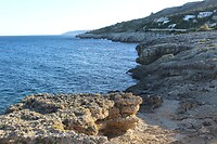 IMG_9204