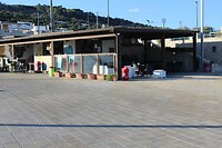 IMG_9205