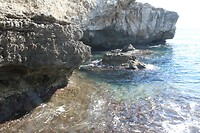 IMG_9237
