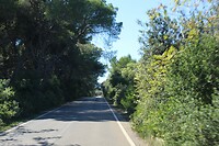 IMG_9320