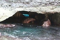 IMG_9229