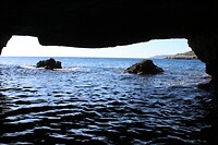 IMG_9232