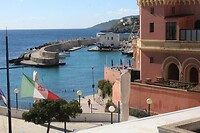 IMG_9239