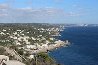 IMG_9247
