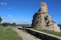 IMG_9249