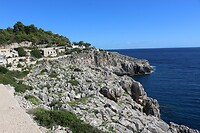 IMG_9259