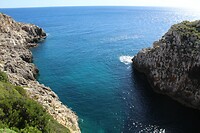 IMG_9266