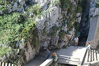 IMG_9273