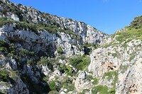 IMG_9274