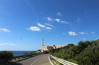 IMG_9287
