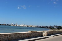 IMG_9319