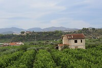 IMG_9354