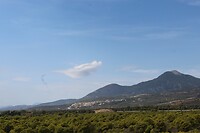 IMG_9374
