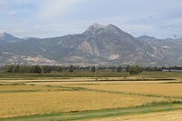 IMG_9379