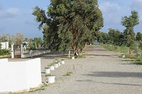 IMG_9403