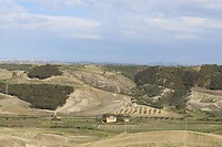 IMG_9412