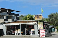 IMG_9460