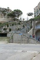 IMG_9481