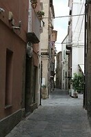 IMG_9502