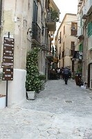 IMG_9515