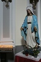 IMG_9556