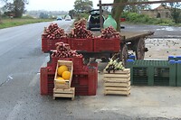IMG_9648