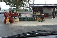 IMG_9649