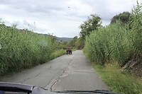 IMG_9661