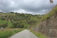 IMG_9667