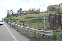 IMG_9781