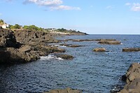 IMG_9797