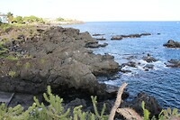 IMG_9798