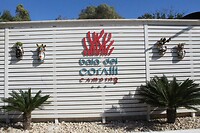 IMG_0003