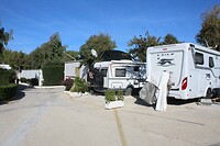 IMG_0006