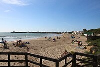 IMG_0007