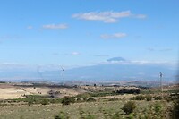IMG_9817
