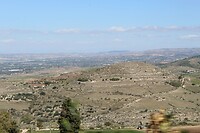 IMG_9857