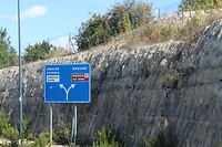 IMG_9879