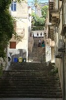 IMG_9886