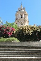 IMG_9890
