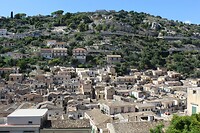 IMG_9897