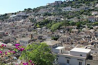 IMG_9898