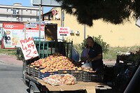 IMG_0025