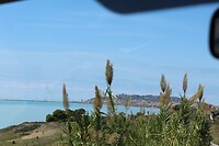 IMG_0035