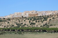 IMG_0051