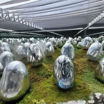 20251009_124523