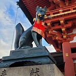 20251020_075227