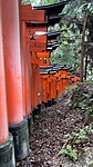 IMG-20251020-WA0080