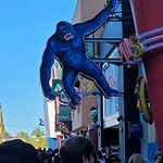 20251023_084828