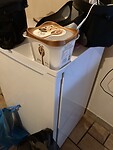 IMG_6682
